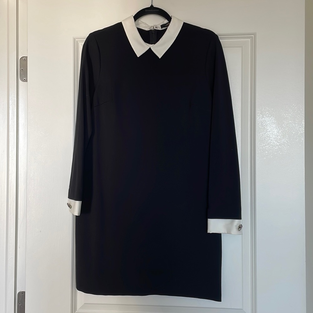 Cynthia Steffe black and white collared dress, 8